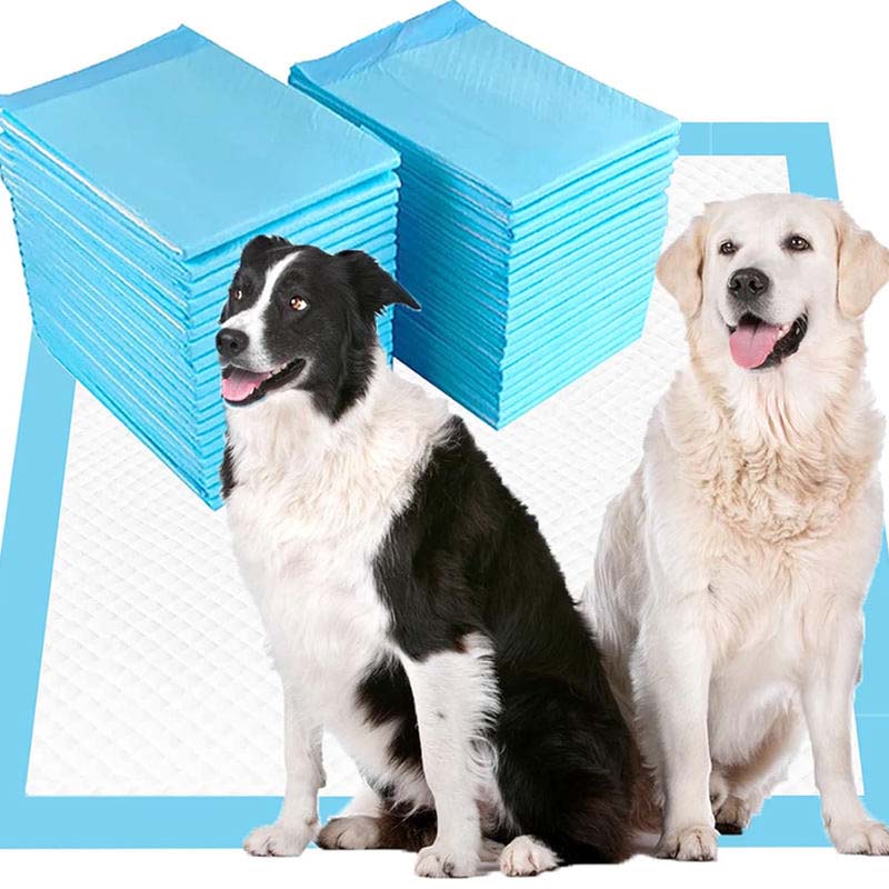 Best Leak-Proof Pet Pee Pads