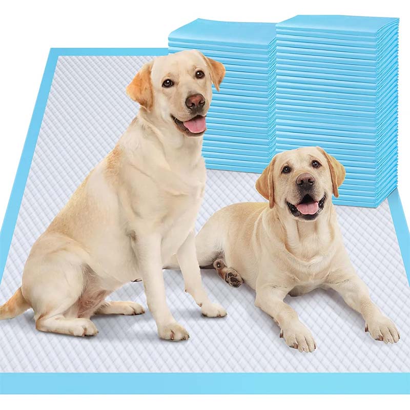 Reusable Dog Training Pads